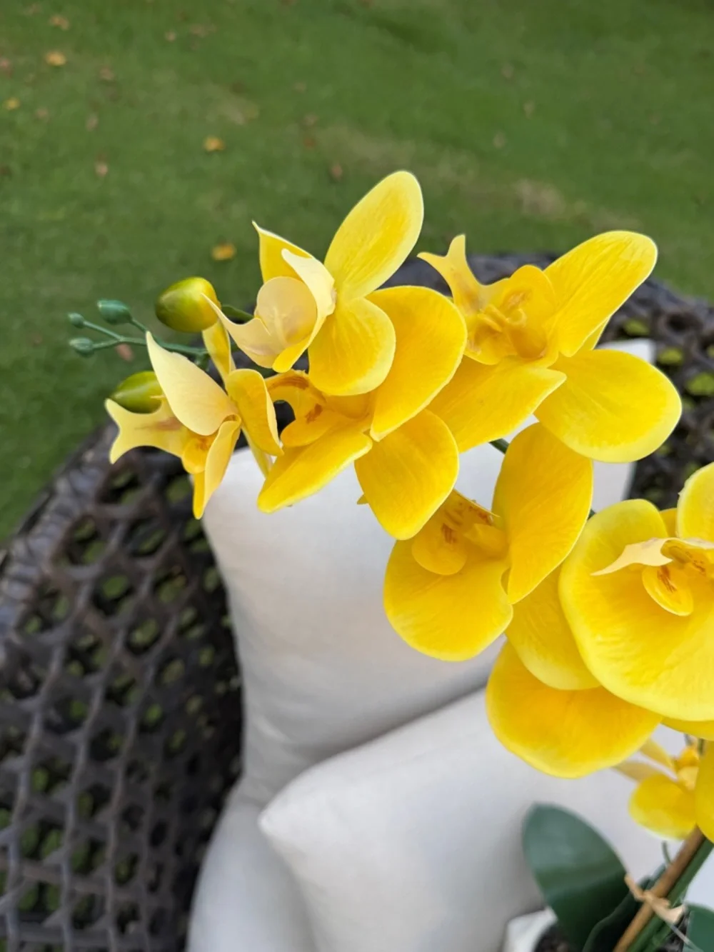 Yellow Faux Orchid in White Ceramic Vase - Home Accents